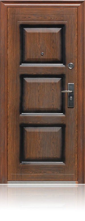 Стальная дверь и ее главные характеристики
